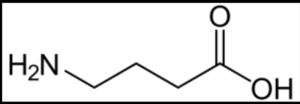 GABAの化学構造